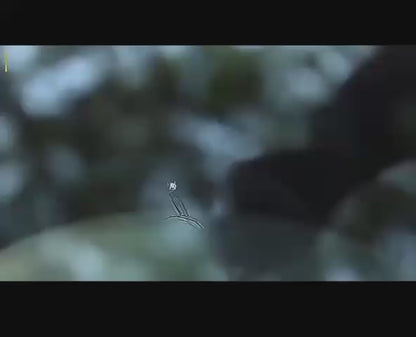 Kit de Réparation de Vitre